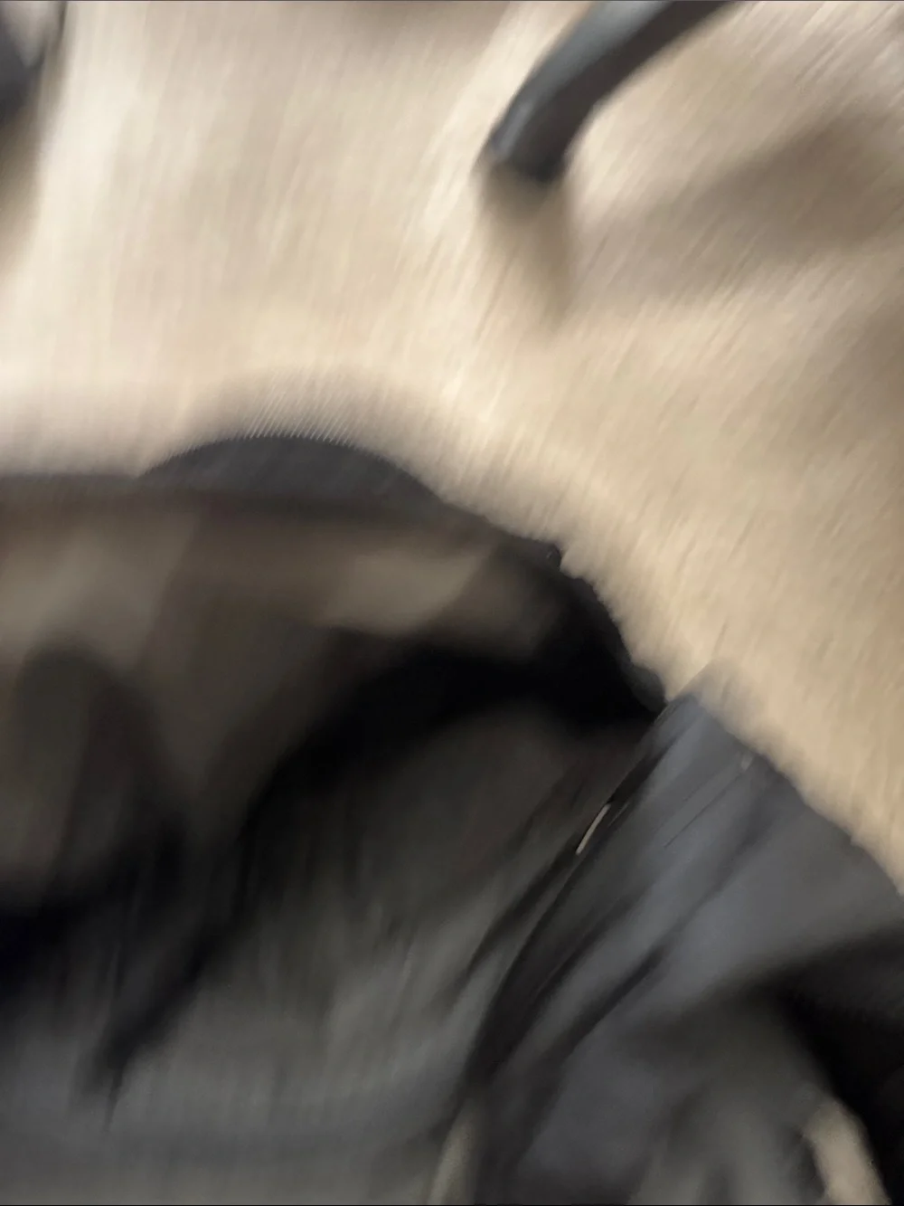 The North Face Black Backpack with Mesh Pockets